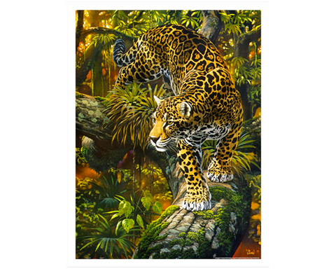 Leopardo: Rompecabezas 1200 Piezas